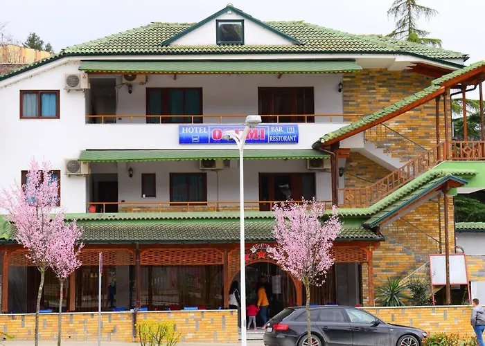 Hotel Osumi
